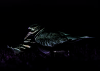 2026 Ohio Wildlife Legacy Stamp - Killdeer